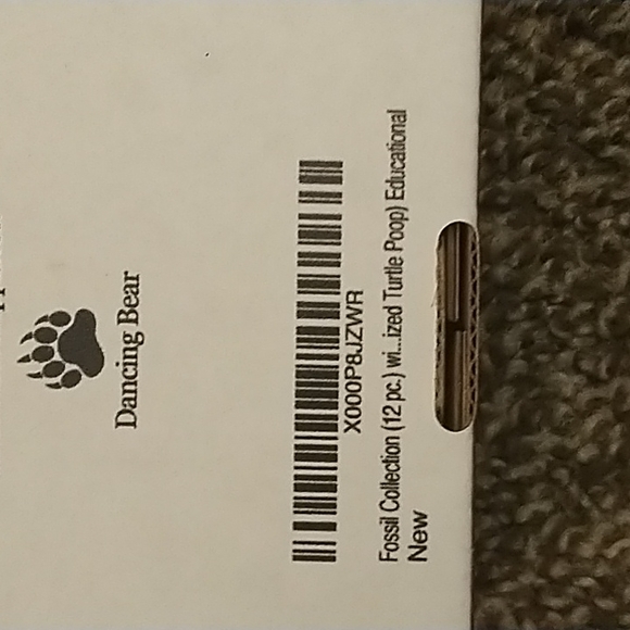 Dancing Bear fossil collection kit - Picture 3 of 3